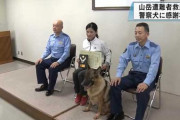 【ｸﾝｶｸﾝｶ】山岳遭難の48歳男性の靴の臭い嗅ぎ発見　｢リョウ｣に感謝状・長崎