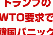 トランプのWTO優遇廃止要求で韓国パニック！　ネットユーザーのコメントが絶望的な雰囲気に！　韓国マスコミは日本語版への翻訳を拒否し愛国心発揮か！