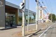 北海道旭川市のレクサス店舗前でも街路樹が枯死 国土交通省が調査へ