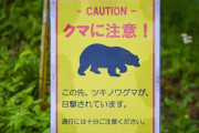 年間300万人訪れる高尾山でも出没…東京都が公表する｢くまっぷ｣でわかる目撃情報多数の要注意エリア　世界的にも珍しいクマ生息の首都