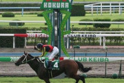 小倉競馬場で売っていた「馬チュロス」、予想外すぎる形状が話題に