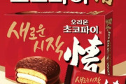 【韓国】 オリオン「チョコパイ」発売50周年…グローバル売り上げ7兆ウォン