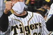 【朗報】矢野監督、再評価路線へwwwwwwwwww