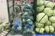 【悲報】北海道のキャベツ、デカすぎる
