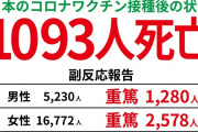 主治医の所へ行った、話の途中で先生から急に「ワクチン打ちました？」って聞かれ「打ってません」て答えたら、真っ直ぐ私の目を見ながら「打っちゃだめだよ」って言われ時が止まった