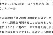 アーモンドアイはルメール騎手で有馬記念