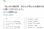 【悲報】共産党「コンビニに置いてある成人向け雑誌、国連で問題にするね」→ ヤンジャン、ヤンマガなども対象になる模様ｗｗｗｗ