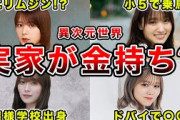 【異次元金持ち】実家が超お金持ちと思われている櫻坂46のメンバー5選(関有美子,菅井友香,守屋麗奈,武元唯衣,田村保乃)