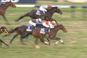 【競馬/ヴィクトリアマイル】JC勝ち馬・ショウナンパンドラさん「なんで私、２番人気なんですの？」