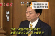 琉球新報｢尖閣が固有の領土かどうかは中国の言い分もある。尖閣を共同管理し平和の海にしよう｣