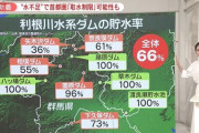 首都圏の水源で“水不足”取水制限の恐れも…27年前はプール閉鎖、噴水ストップ自宅でできる節水術