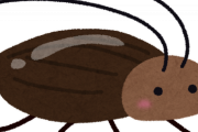 ゴキブリとかいうとてつもない歴史を持ったやつら