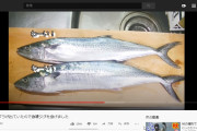 釣り人ワイ「昨日のイサキどうやった？」友達「おう旨かったわ」