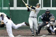 チーム最年長の阪神糸井嘉男が５戦連続安打、好調問われ「調子もない」独特コメント