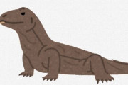【画像】コモドオオトカゲ、ガチで現代の恐竜だった