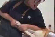 【反日】中国のトリマーが柴犬を「虐待」する映像が物議、日本と絡め暴言　中国ネット拍手喝采