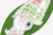 イカの刺身「とっても甘いです」 ← これなんで？