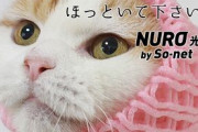NURO光にブチギレ激怒で大炎上/急に17000円以上請求された利用者「まじでNURO光最悪や」 #衝撃