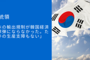 【無敵の人】文大統領「日本の輸出規制が韓国経済に直撃弾にならなかった。ただ１件の生産支障もない」