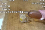 アル中カラカラ「ウィスキーと炭酸水の割合9：1にしたらウケるだろうなｗｗｗｗ」ゴクゴク