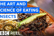 「気候変動対策として昆虫食を！」米TVで昆虫食ごり押し続くも海外ネット上は大反発…[海外の反応]