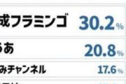 【悲報】HIKAKINさん、遂にZ世代にすら見限られてしまう・・・・・・・・・・・・