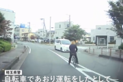 自転車初のあおり運転容疑、「ひょっこり男」逮捕へ