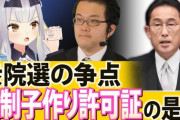 おぎの稔議員と”強制子作り許可証”について議論するV『凄い真面目な雰囲気で草』