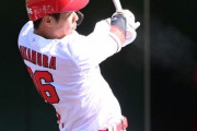 中村奨成（捕左)2軍.265 4本18打点とトレードで釣り合う選手