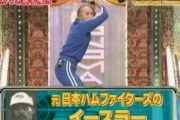 本物の元日ハムのイースラーを知らない奴ｗｗｗｗｗｗ