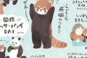 レッサーパンダって可愛いよね？