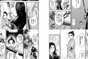 【画像】この漫画の師匠「槍は叩くもの」←これマジ？