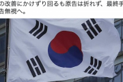【大正論】フィフィさん「捏造の歴史で反日を利用してきたこれまでの韓国政権のツケ」チョーヨーコー問題