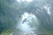 【八丈島】台風の強風の中を進む車からの映像がこわいw(ﾟoﾟ)w