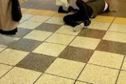 【画像】女オタクさんが新宿駅で酔い潰れてる男を転がした事件、やばすぎる・・・・・・・・・