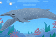 クジラの“あくび”って見たことある？　オーストラリアで撮影された珍しい光景がこちら【動画あり】