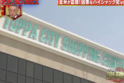 【日向坂46】突然ワイプにみーぱんが！『THE突破ファイル』一部内容を変更して放送