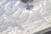 【画像】ネッコさん、雪の中で寒すぎた結果