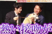 【動画】小泉進次郎さん、セクシーすぎてワンちゃんにガッツリ襲われてしまう
