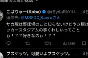 【悲報】サッカーファン「なんでいつもサッカースタジアムだけ叩かれて野球場は叩かれないんだ？？？」