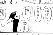 【恩返】なんだよこの漫画ｗｗｗ【注意】