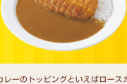 【朗報】ココイチのカツカレー値上げ　ぎりぎり1000円未満で持ち堪えるｗｗｗｗｗｗｗｗ　（画像あり）
