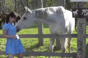 【悲報】JKさん、馬にセクハラされてしまう