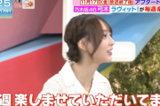 弓木ちゃんが思ってた東京ホテイソンが端っこにいる理由ワロタｗｗｗ【乃木坂46】