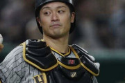 阪神、普通にキャッチャーが多すぎる問題