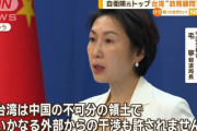 中国報道官「歴史的罪責を負う日本は特に言動を慎むべき」と抗議…台湾顧問への元統幕長起用に反発！