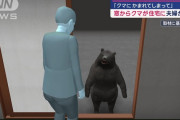 【悲報】クマ、もうなりふり構わなくなる