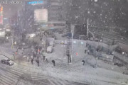【画像】東京都新宿の雪やばすぎるｗｗｗｗｗｗｗｗ