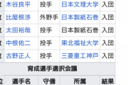 プロ野球選手福袋(3000万円)に入ってそうな選手