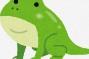 ペットとしてカエル飼いたいんやがおすすめ教えて欲しい